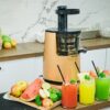 Máy ép chậm KingBlend SJ-06