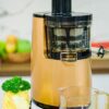 Máy ép chậm KingBlend SJ-06